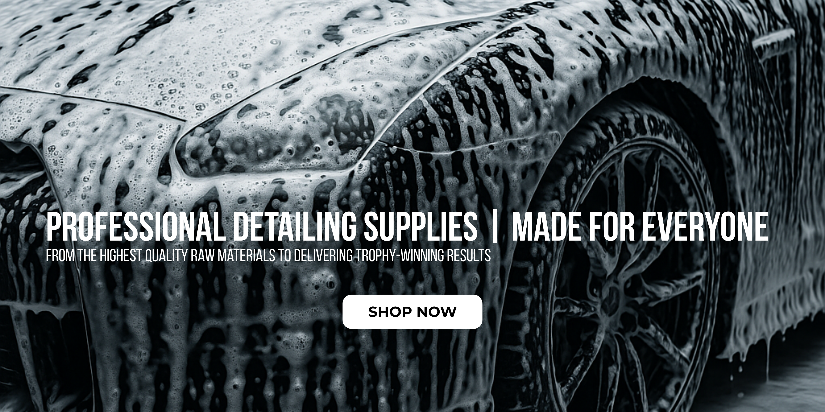 “ceramic detailer”, “waterless wash”, “professional car care”